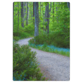 USA, Michigan. Der Weg durch den Wald Klemmbrett (Rückseite)