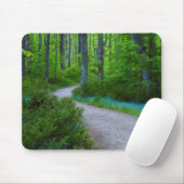 USA, Michigan. Der Weg durch den Wald Mousepad (Mit Mouse)