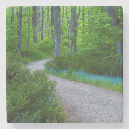 USA, Michigan. Der Weg durch den Wald Steinuntersetzer (Vorderseite)