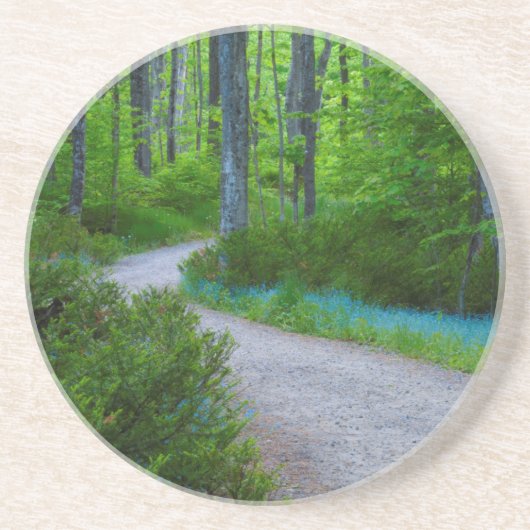 USA, Michigan. Der Weg durch den Wald Untersetzer (Vorne)