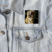 USA, Michigan, Detroit. Detroit Zoo, tiger 2 Button (Beispiel)