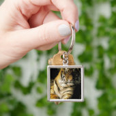 USA, Michigan, Detroit. Detroit Zoo, tiger 3 Schlüsselanhänger (Hand)