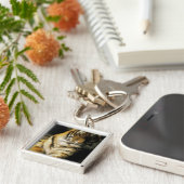 USA, Michigan, Detroit. Detroit Zoo, tiger 3 Schlüsselanhänger (Seite)