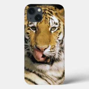 USA, Michigan, Detroit. Detroit Zoo, Tiger Case-Mate iPhone Hülle