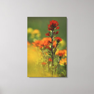 USA, Michigan, Drummond Island, Maxton Plains, Leinwanddruck