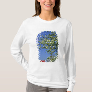 USA, Michigan, East Tawas. Tawas Leuchtturm mit T-Shirt