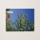 USA, Michigan, East Tawas. Tawas Lighthouse mit Puzzle (Horizontal)