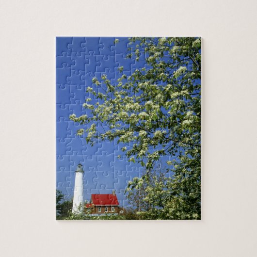 USA, Michigan, East Tawas. Tawas Lighthouse mit Puzzle (Vertikal)