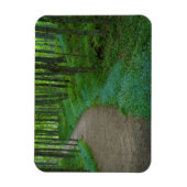 USA, Michigan. Miner's Falls Trail Magnet (Vertikal)