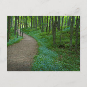 USA, Michigan. Miner's Falls Trail Postkarte