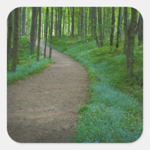 USA, Michigan. Miner's Falls Trail Quadratischer Aufkleber