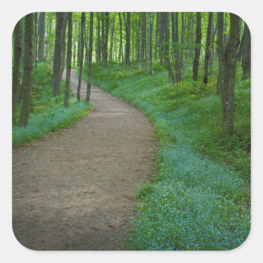 USA, Michigan. Miner's Falls Trail Quadratischer Aufkleber (Vorderseite)