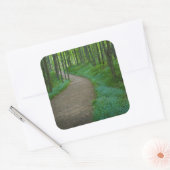 USA, Michigan. Miner's Falls Trail Quadratischer Aufkleber (Umschlag)