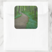 USA, Michigan. Miner's Falls Trail Quadratischer Aufkleber (Tasche)