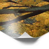 USA, Michigan, Naher Ahornbaum in Fotodruck (Ecke)