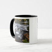 USA, Michigan, Obere Halbinsel. Bond Falls und Tasse (Vorderseite Links)