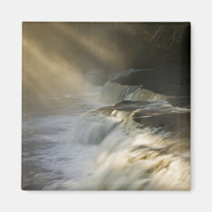 USA, Michigan, Obere Halbinsel. Sonnenbäume Magnet