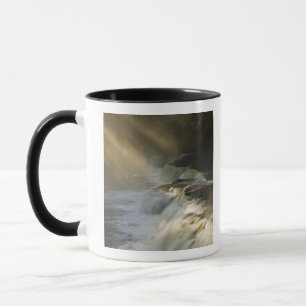 USA, Michigan, Obere Halbinsel. Sonnenbäume Tasse