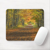 USA, Michigan, Obere Halbinsel. Weg in Mousepad (Mit Mouse)