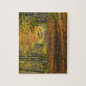 USA, Michigan, Obere Halbinsel. Weg in Puzzle (Vertikal)