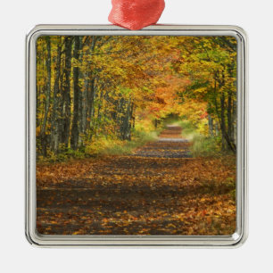 USA, Michigan, Obere Halbinsel. Weg in Silbernes Ornament