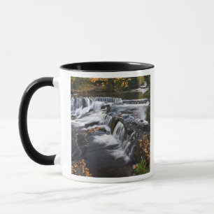 USA, Michigan, Oberes Halbinsel. Bond Falls und Tasse