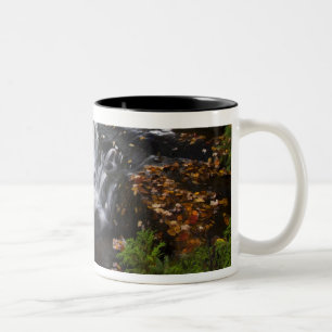 USA, Michigan, Oberes Halbinsel. Bond Falls und Zweifarbige Tasse