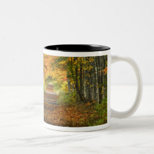 USA, Michigan, Oberes Halbinsel. Straße in Zweifarbige Tasse