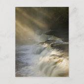 USA, Michigan, Oberhalbinsel. Libams Postkarte (Vorderseite)