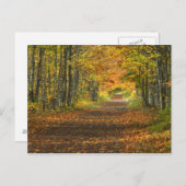 USA, Michigan, Oberhalbinsel. Weg in Postkarte (Vorne/Hinten)