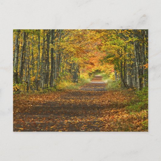 USA, Michigan, Oberhalbinsel. Weg in Postkarte (Vorderseite)