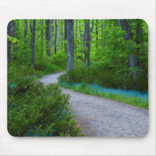 USA, Michigan. Pfad durch den Wald Mousepad