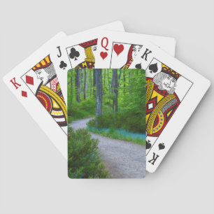 USA, Michigan. Pfad durch den Wald Spielkarten