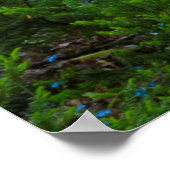 USA, Michigan. Pfad Thru der Wald Poster (Ecke)