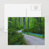 USA, Michigan. Pfad Thru der Wald Postkarte (Vorne/Hinten)