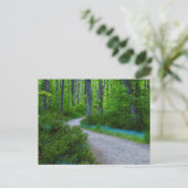 USA, Michigan. Pfad Thru der Wald Postkarte (Stehend Vorderseite)
