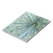 USA, Michigan. Queen-Anne's Lace aus Notizblock (Rotiert)