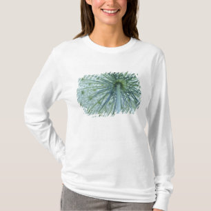 USA, Michigan. Queen-Anne's Lace aus T-Shirt