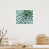 USA, Michigan. Queen-Anne's Lace viewed from Poster (Küche)