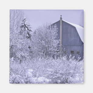 USA, Michigan, Rochester Hills. Schneeblau Magnet