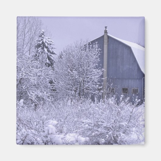 USA, Michigan, Rochester Hills. Schneeblau Magnet (Vorne)