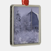 USA, Michigan, Rochester Hills. Schneeblau Silbernes Ornament (Rechts)