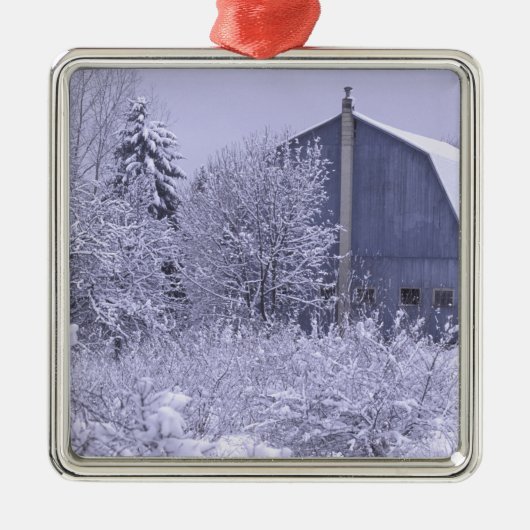USA, Michigan, Rochester Hills. Schneeblau Silbernes Ornament (Vorne)