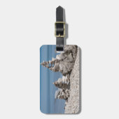 USA, Michigan. Steinfürme am Strand Gepäckanhänger (Vorderseite vertikal)