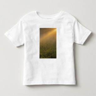 USA, Michigan, Wiese mit Goldrutenpflanzen Kleinkind T-shirt