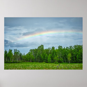 USA, Minnesota. Green Meadow with Wildflowers Poster