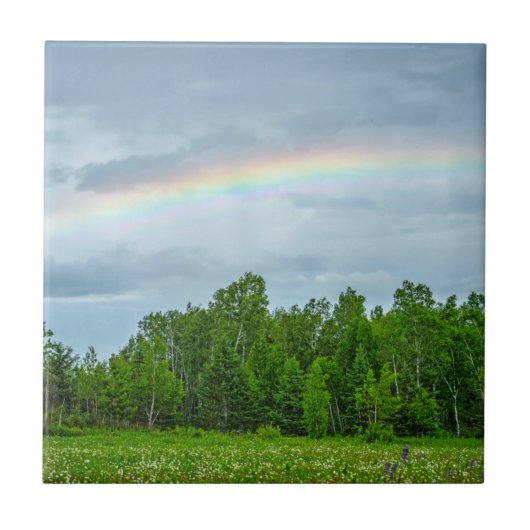 USA, Minnesota. Grüne Wiese mit Wildblumen Fliese (Vorderseite)