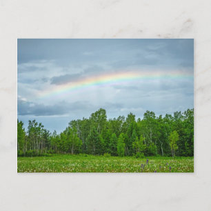 USA, Minnesota. Grüne Wiese mit Wildblumen Postkarte