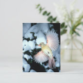 USA, Minnesota, Mendota Heights, Kardinal Postkarte (Stehend Vorderseite)