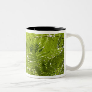 USA, Minnesota, Nordküste Lake Superior, Zweifarbige Tasse